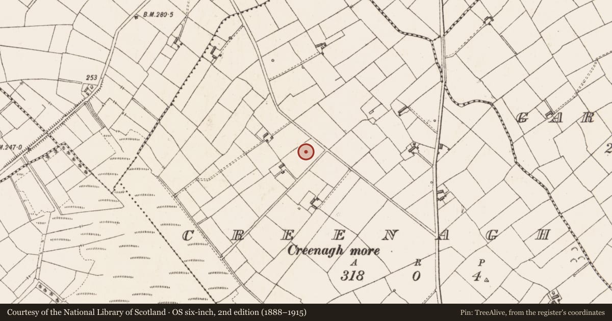 Ordnance Survey six-inch map, 2nd edition (1888–1915) covering the location of Standing stone, Creenagh, County Longford, with a pin at the register's coordinates