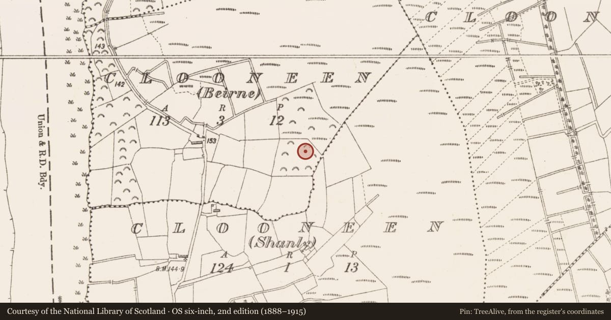Ordnance Survey six-inch map, 2nd edition (1888–1915) covering the location of Megalithic tomb - wedge tomb, Clooneen (Beirne), County Longford, with a pin at the register's coordinates