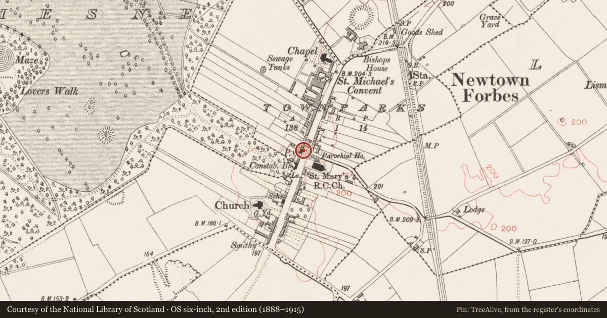 Ordnance Survey six-inch map, 2nd edition (1888–1915) covering the location of Historic town, Castleforbes Demesne, Townparks, County Longford, with a pin at the register's coordinates