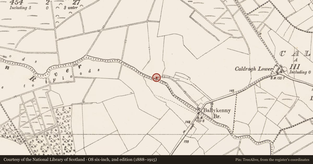Ordnance Survey six-inch map, 2nd edition (1888–1915) covering the location of Bullaun stone, Killeen, County Longford, with a pin at the register's coordinates