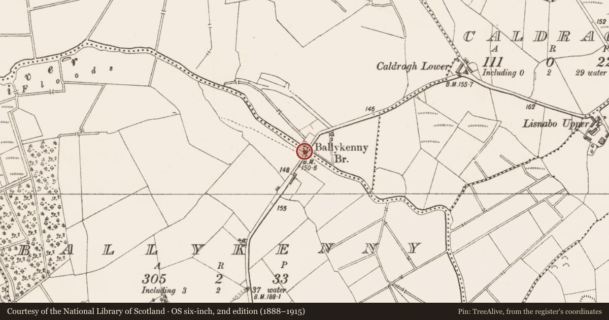 Ordnance Survey six-inch map, 2nd edition (1888–1915) covering the location of Ford, Ballykenny, County Longford, with a pin at the register's coordinates