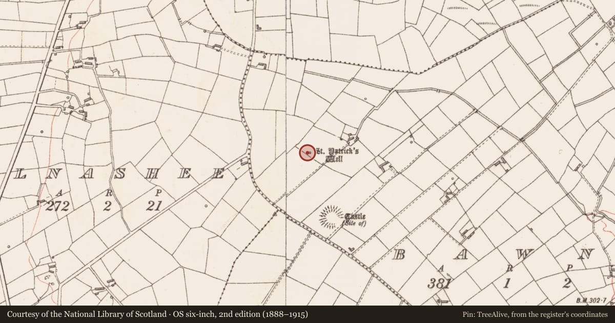 Ordnance Survey six-inch map, 2nd edition (1888–1915) covering the location of Bullaun stone, Bawn, County Longford, with a pin at the register's coordinates
