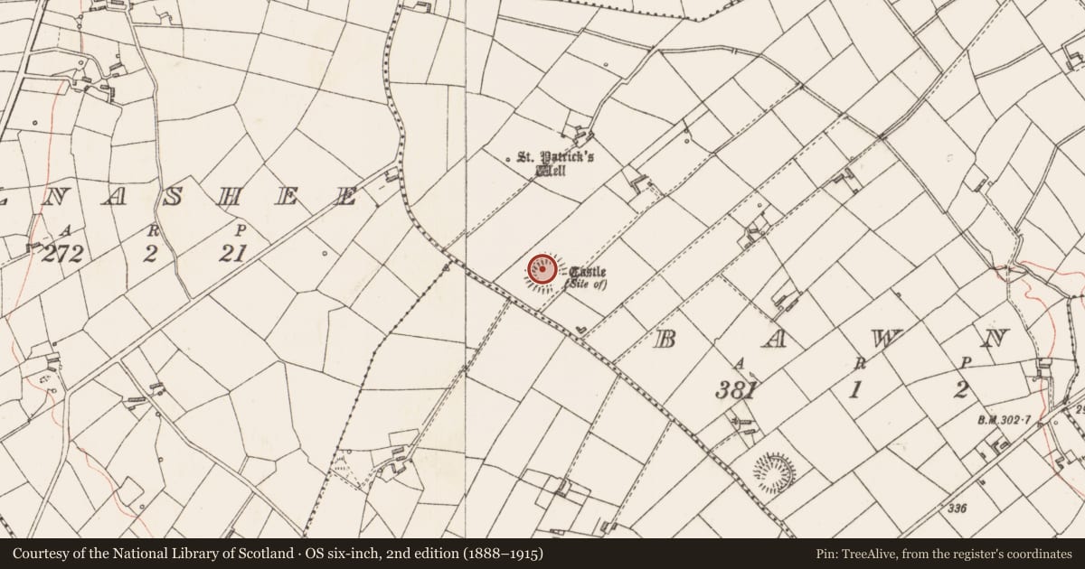 Ordnance Survey six-inch map, 2nd edition (1888–1915) covering the location of Ringfort - rath, Bawn, County Longford, with a pin at the register's coordinates