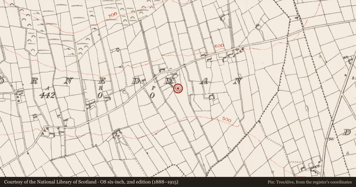 Ordnance Survey six-inch map, 2nd edition (1888–1915) covering the location of Enclosure, Corneddan, County Longford, with a pin at the register's coordinates