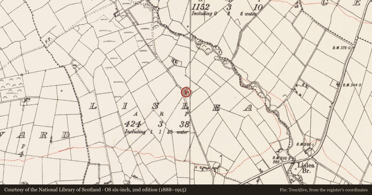 Ordnance Survey six-inch map, 2nd edition (1888–1915) covering the location of Ringfort - rath, Lislea, County Longford, with a pin at the register's coordinates