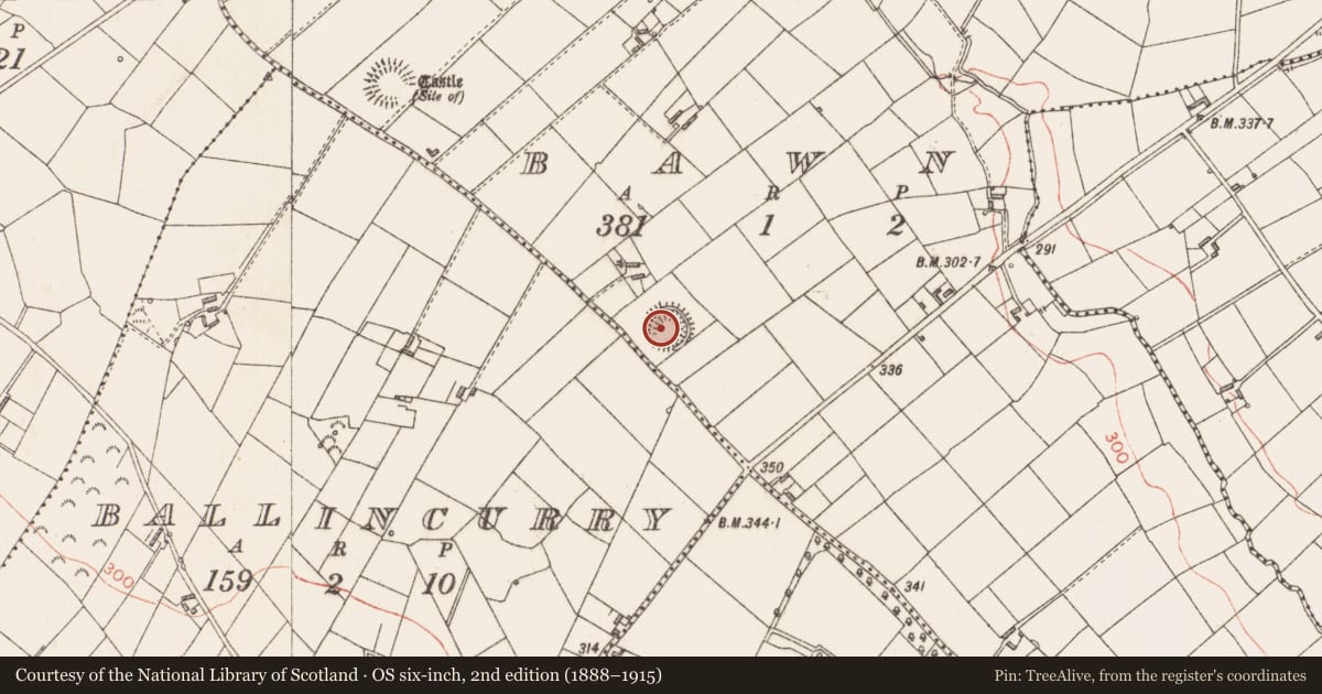 Ordnance Survey six-inch map, 2nd edition (1888–1915) covering the location of Ringfort - rath, Bawn, County Longford, with a pin at the register's coordinates