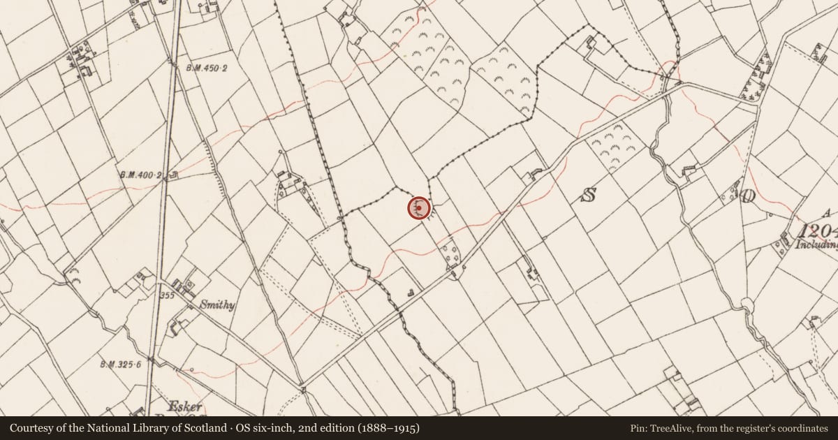 Ordnance Survey six-inch map, 2nd edition (1888–1915) covering the location of Ringfort - rath, Soran, County Longford, with a pin at the register's coordinates