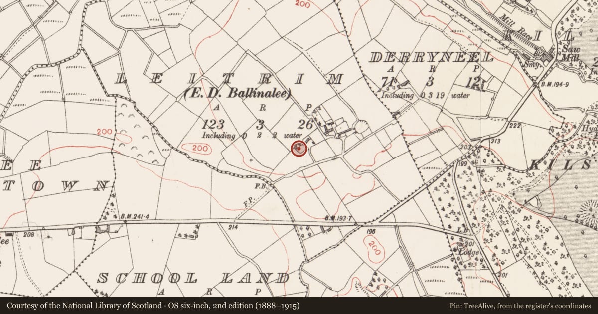 Ordnance Survey six-inch map, 2nd edition (1888–1915) covering the location of Ringfort - rath, Leitrim, County Longford, with a pin at the register's coordinates