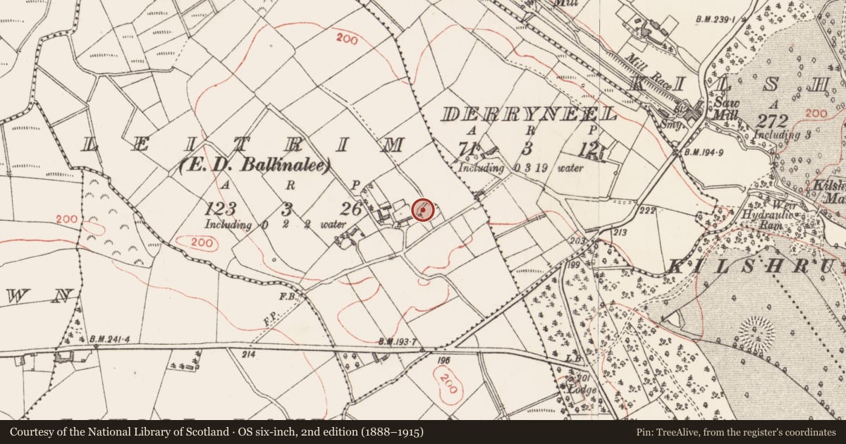 Ordnance Survey six-inch map, 2nd edition (1888–1915) covering the location of Ringfort - rath, Leitrim, County Longford, with a pin at the register's coordinates