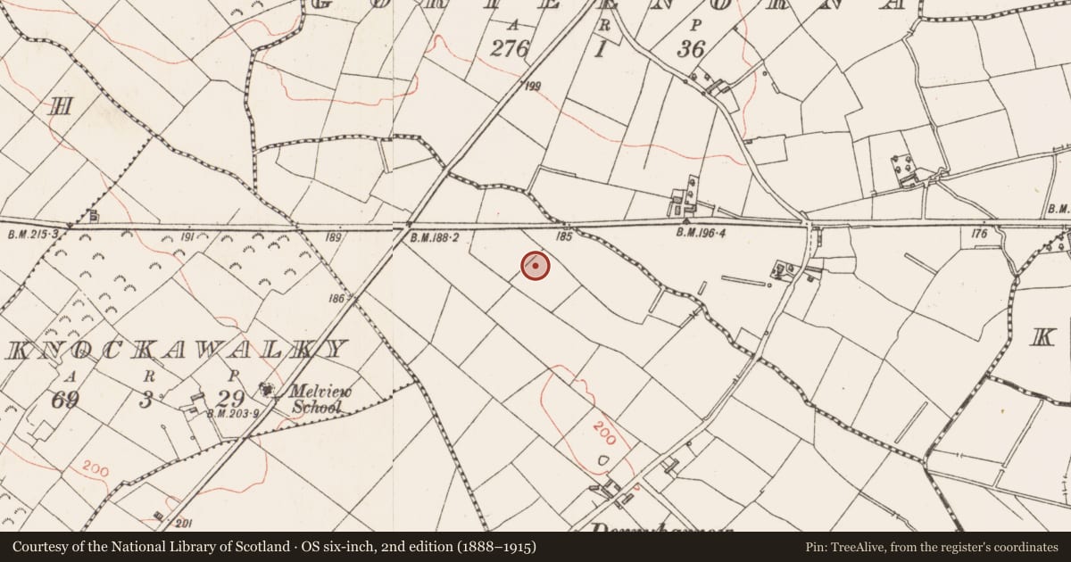 Ordnance Survey six-inch map, 2nd edition (1888–1915) covering the location of Standing stone, Derryharrow, County Longford, with a pin at the register's coordinates