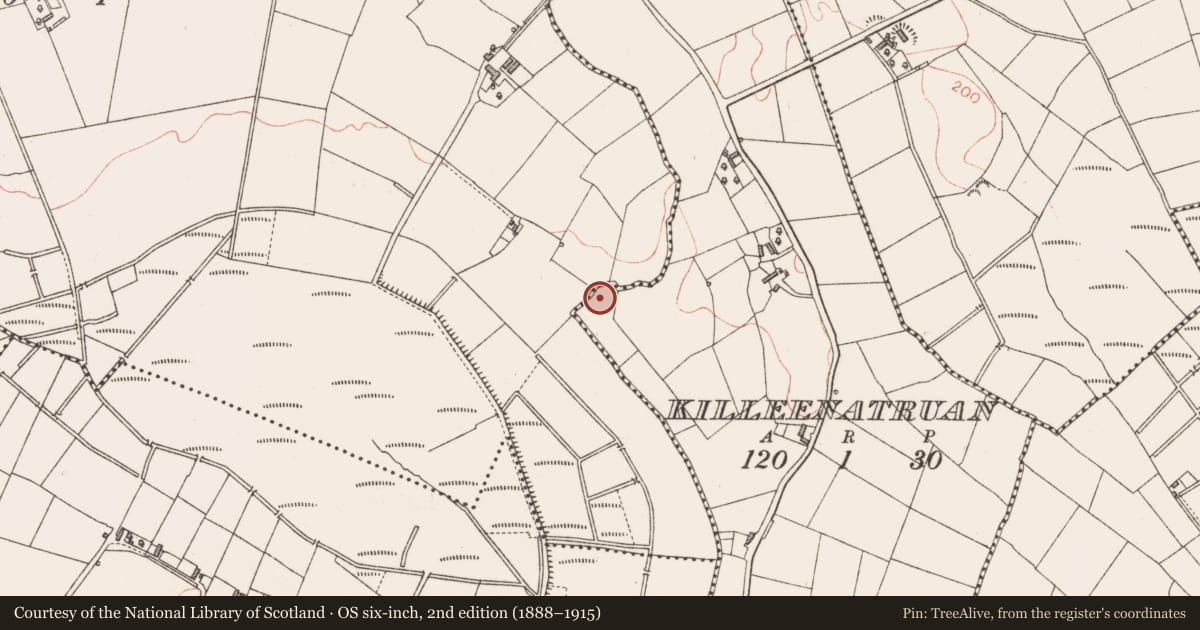 Ordnance Survey six-inch map, 2nd edition (1888–1915) covering the location of Ringfort - rath, Killeenatruan, County Longford, with a pin at the register's coordinates