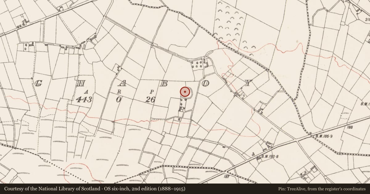 Ordnance Survey six-inch map, 2nd edition (1888–1915) covering the location of Ringfort - rath, Aghaboy, County Longford, with a pin at the register's coordinates