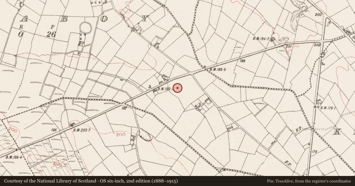 Ordnance Survey six-inch map, 2nd edition (1888–1915) covering the location of Enclosure, Aghaboy, County Longford, with a pin at the register's coordinates
