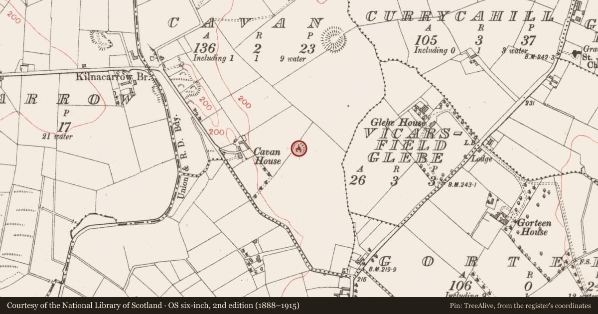 Ordnance Survey six-inch map, 2nd edition (1888–1915) covering the location of Ringfort - rath, Cavan, County Longford, with a pin at the register's coordinates