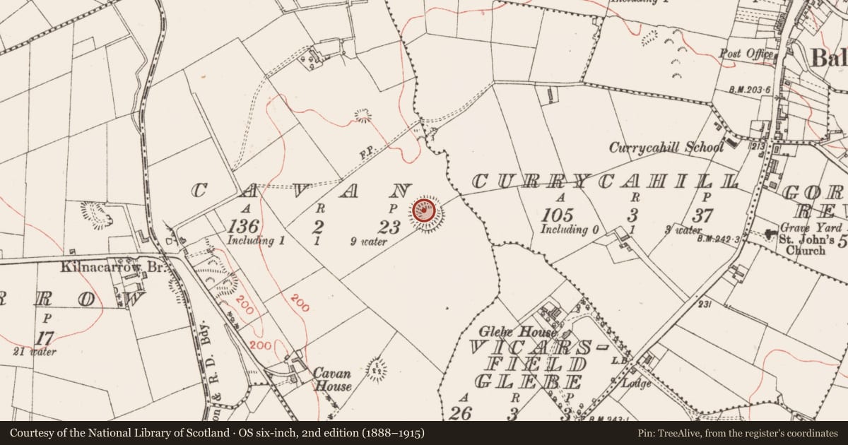 Ordnance Survey six-inch map, 2nd edition (1888–1915) covering the location of Ringfort - rath, Cavan, County Longford, with a pin at the register's coordinates