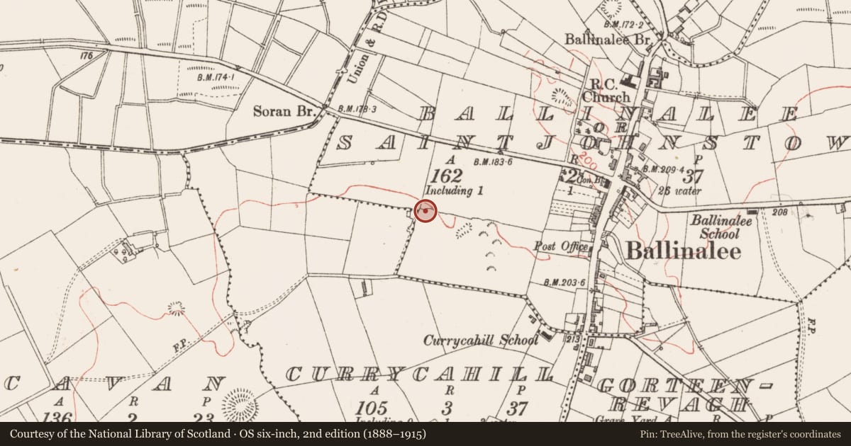 Ordnance Survey six-inch map, 2nd edition (1888–1915) covering the location of Cultivation ridges, Ballinalee Or Saintjohnstown, County Longford, with a pin at the register's coordinates