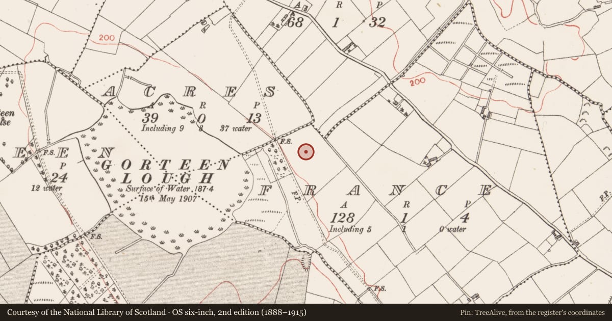 Ordnance Survey six-inch map, 2nd edition (1888–1915) covering the location of Ringfort - rath, France, County Longford, with a pin at the register's coordinates