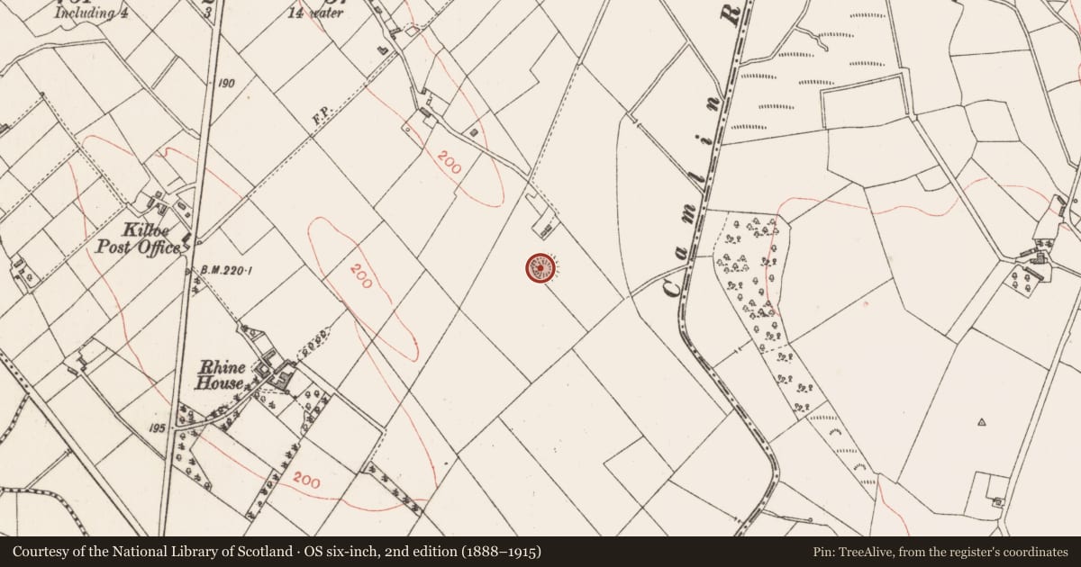 Ordnance Survey six-inch map, 2nd edition (1888–1915) covering the location of Ringfort - rath, Rhine, County Longford, with a pin at the register's coordinates