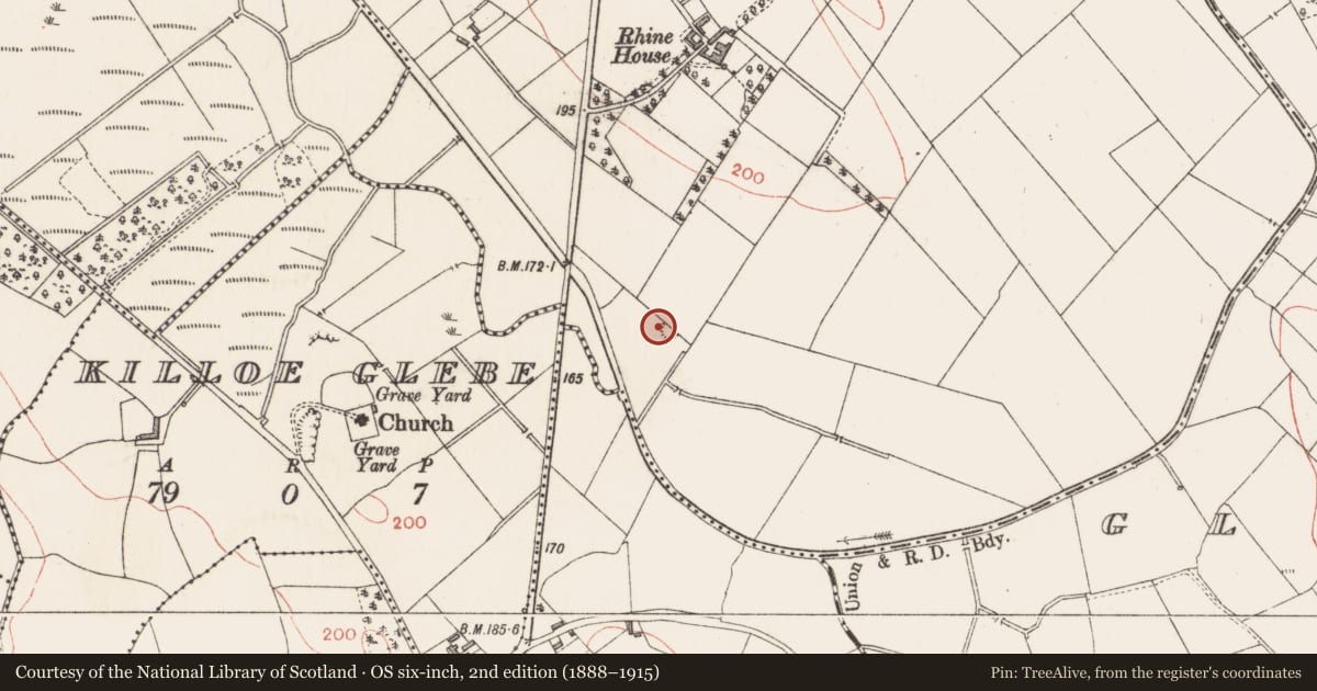 Ordnance Survey six-inch map, 2nd edition (1888–1915) covering the location of Ringfort - rath, Rhine, County Longford, with a pin at the register's coordinates