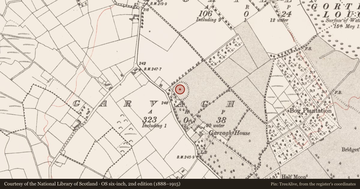 Ordnance Survey six-inch map, 2nd edition (1888–1915) covering the location of Ringfort - rath, Garvagh, County Longford, with a pin at the register's coordinates
