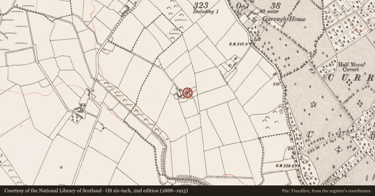 Ordnance Survey six-inch map, 2nd edition (1888–1915) covering the location of Ringfort - rath, Garvagh, County Longford, with a pin at the register's coordinates