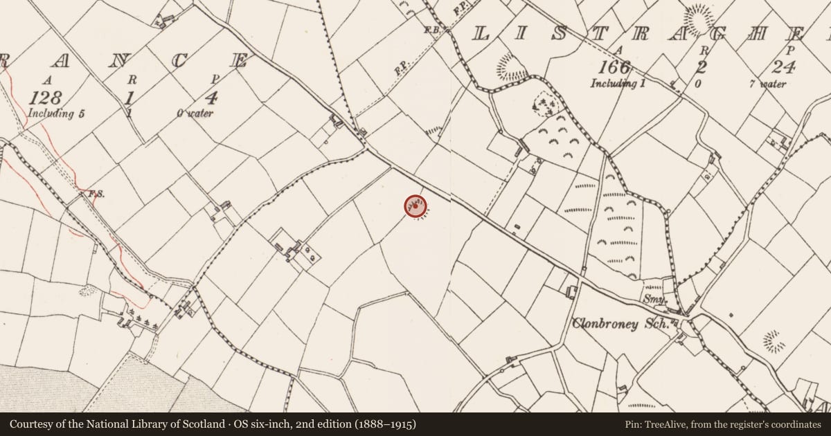Ordnance Survey six-inch map, 2nd edition (1888–1915) covering the location of Ringfort - rath, Drummeel, County Longford, with a pin at the register's coordinates