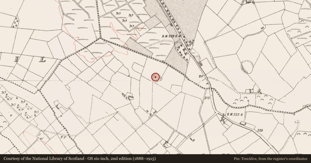 Ordnance Survey six-inch map, 2nd edition (1888–1915) covering the location of Ringfort - rath, Lissameen, County Longford, with a pin at the register's coordinates