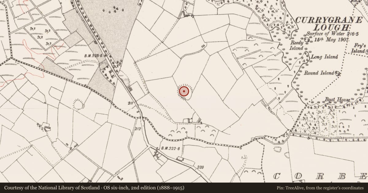 Ordnance Survey six-inch map, 2nd edition (1888–1915) covering the location of Ringfort - rath, Currygrane, County Longford, with a pin at the register's coordinates