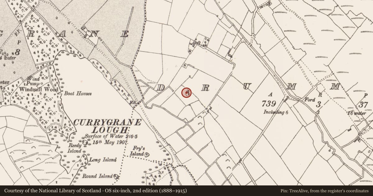 Ordnance Survey six-inch map, 2nd edition (1888–1915) covering the location of Ringfort - rath, Drummeel, County Longford, with a pin at the register's coordinates