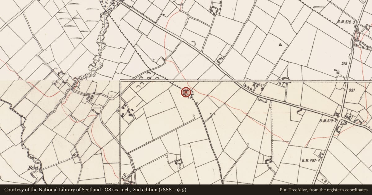 Ordnance Survey six-inch map, 2nd edition (1888–1915) covering the location of Ringfort - rath, Aghagreagh, Gelshagh, County Longford, with a pin at the register's coordinates