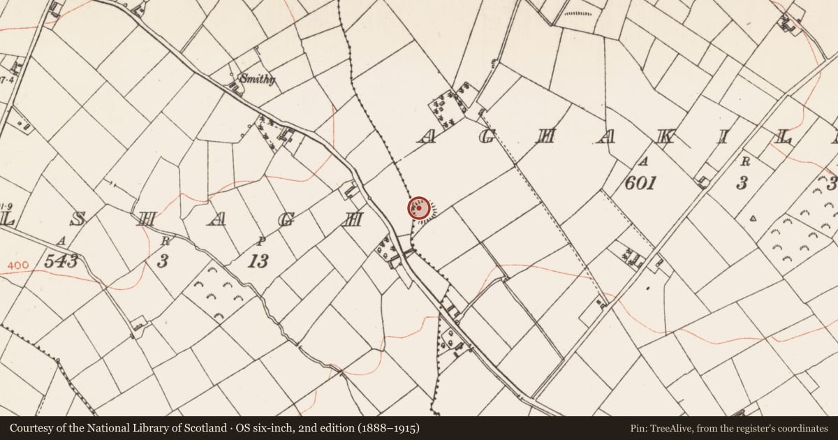 Ordnance Survey six-inch map, 2nd edition (1888–1915) covering the location of Ringfort - rath, Aghakilmore, Gelshagh, County Longford, with a pin at the register's coordinates