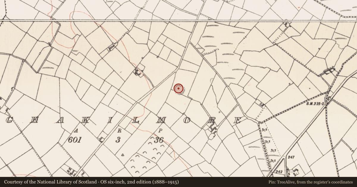 Ordnance Survey six-inch map, 2nd edition (1888–1915) covering the location of Ringfort - rath, Aghakilmore, County Longford, with a pin at the register's coordinates