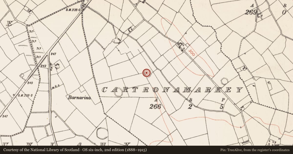 Ordnance Survey six-inch map, 2nd edition (1888–1915) covering the location of Ringfort - rath, Cartronamarkey, County Longford, with a pin at the register's coordinates