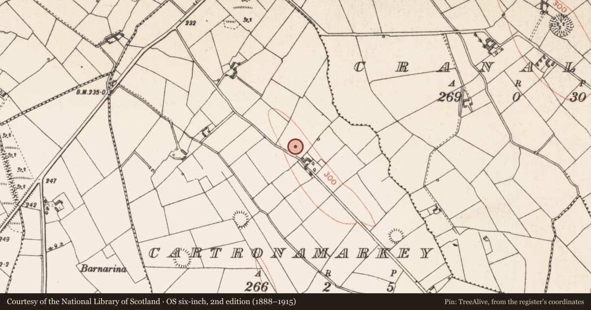 Ordnance Survey six-inch map, 2nd edition (1888–1915) covering the location of Ringfort - rath, Cartronamarkey, County Longford, with a pin at the register's coordinates