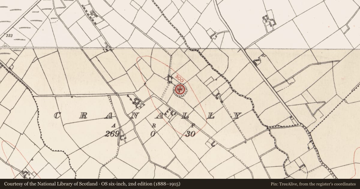Ordnance Survey six-inch map, 2nd edition (1888–1915) covering the location of Ringfort - rath, Cranally, County Longford, with a pin at the register's coordinates