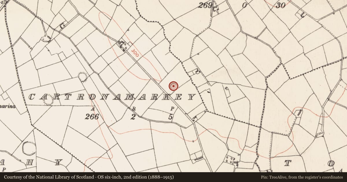 Ordnance Survey six-inch map, 2nd edition (1888–1915) covering the location of Ringfort - rath, Cartronamarkey, County Longford, with a pin at the register's coordinates
