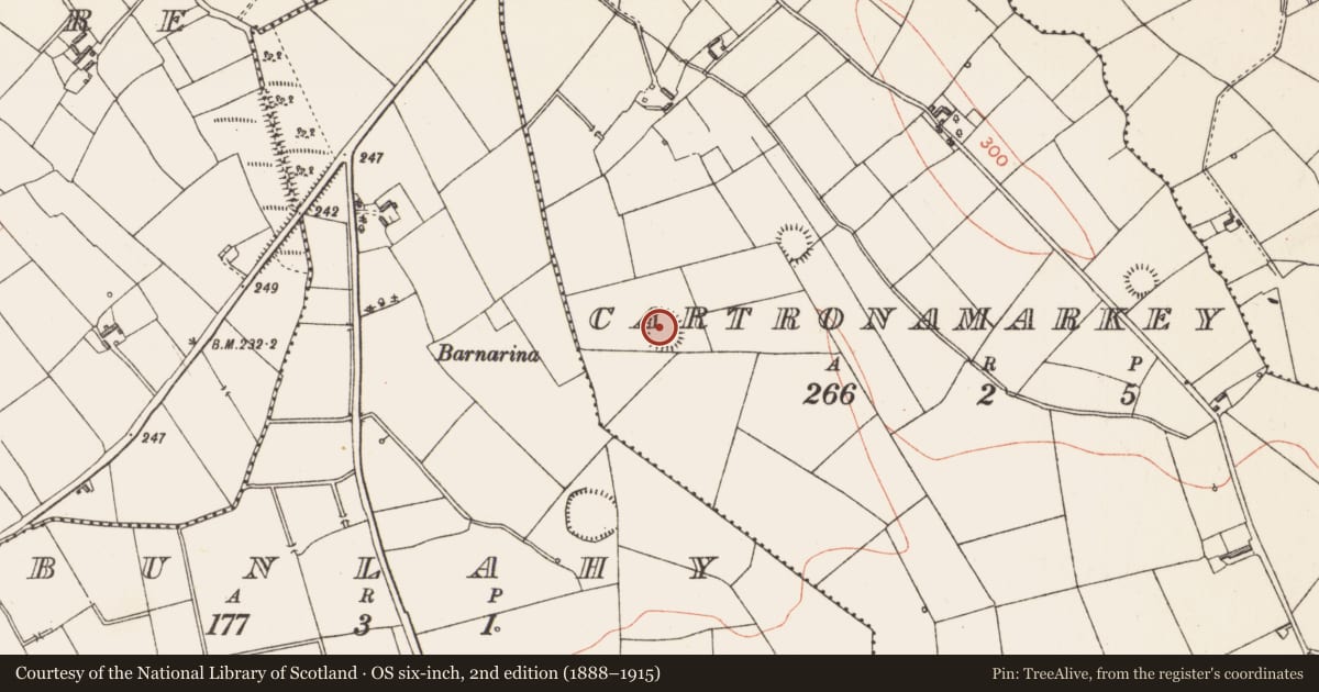 Ordnance Survey six-inch map, 2nd edition (1888–1915) covering the location of Ringfort - rath, Cartronamarkey, County Longford, with a pin at the register's coordinates