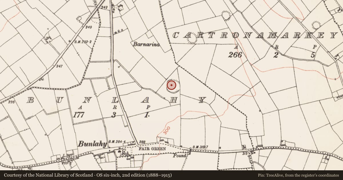 Ordnance Survey six-inch map, 2nd edition (1888–1915) covering the location of Ringfort - rath, Bunlahy, County Longford, with a pin at the register's coordinates