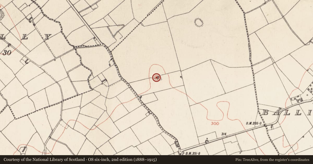 Ordnance Survey six-inch map, 2nd edition (1888–1915) covering the location of Enclosure, Rathbrackan, County Longford, with a pin at the register's coordinates
