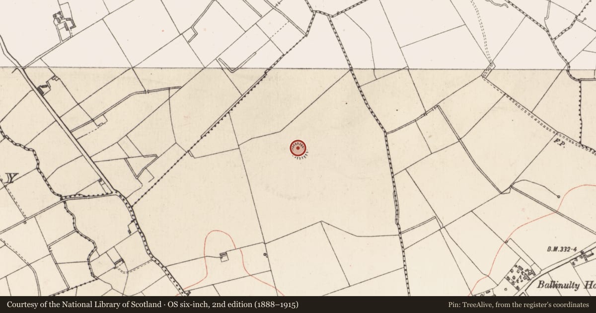 Ordnance Survey six-inch map, 2nd edition (1888–1915) covering the location of Ringfort - rath, Rathbrackan, County Longford, with a pin at the register's coordinates
