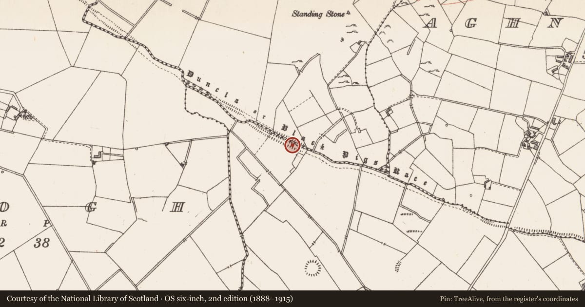 Ordnance Survey six-inch map, 2nd edition (1888–1915) covering the location of Linear earthwork, County Longford, with a pin at the register's coordinates