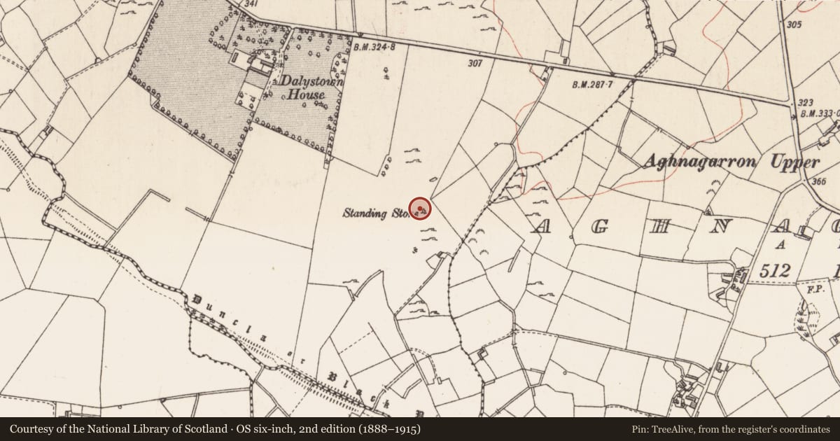 Ordnance Survey six-inch map, 2nd edition (1888–1915) covering the location of Standing stone, Dalystown, County Longford, with a pin at the register's coordinates