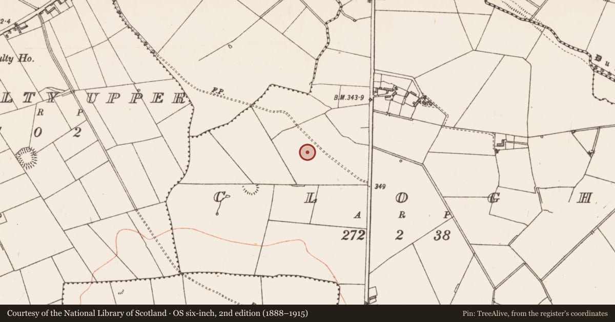 Ordnance Survey six-inch map, 2nd edition (1888–1915) covering the location of Standing stone, Clogh, County Longford, with a pin at the register's coordinates