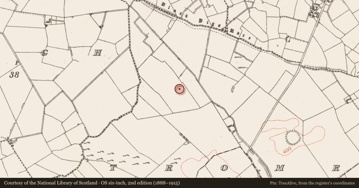 Ordnance Survey six-inch map, 2nd edition (1888–1915) covering the location of Ringfort - rath, Tromra, County Longford, with a pin at the register's coordinates