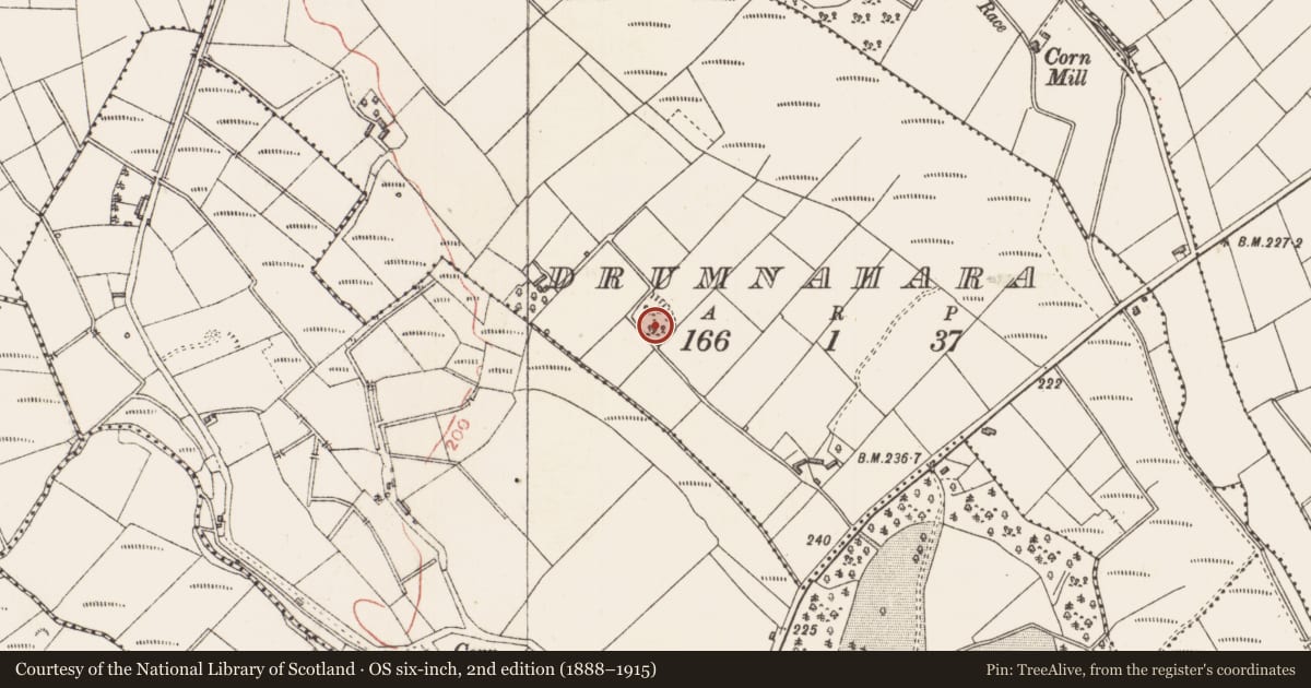Ordnance Survey six-inch map, 2nd edition (1888–1915) covering the location of House - indeterminate date, Drumnahara, County Longford, with a pin at the register's coordinates