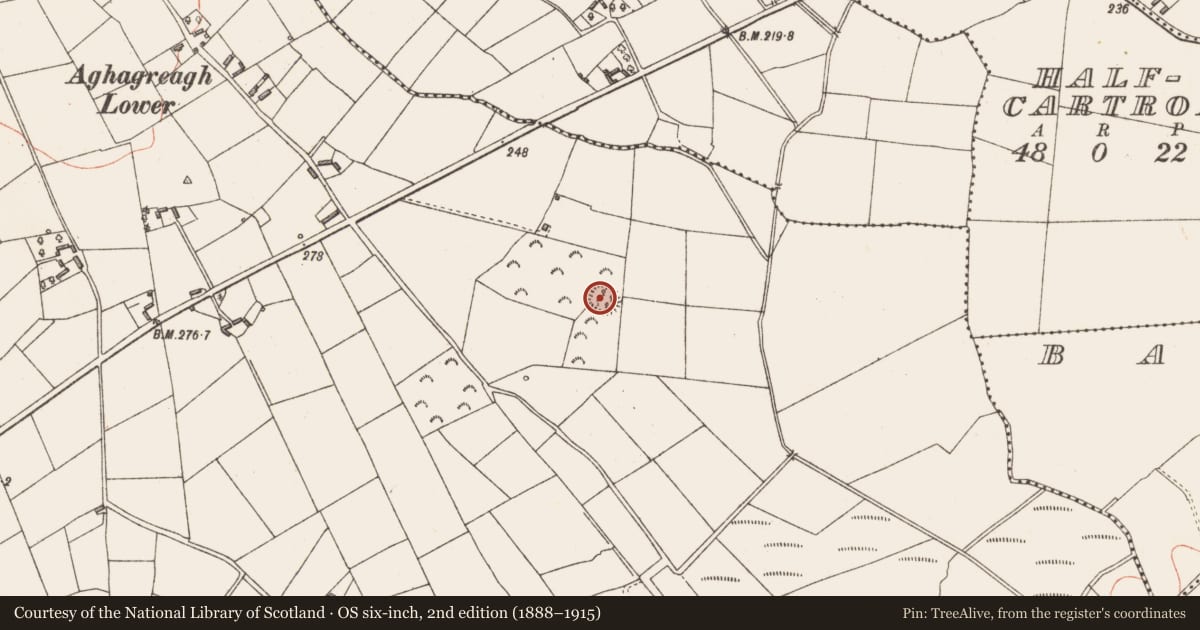 Ordnance Survey six-inch map, 2nd edition (1888–1915) covering the location of Ringfort - rath, Aghagreagh, County Longford, with a pin at the register's coordinates