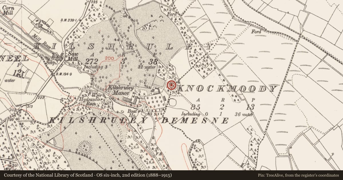 Ordnance Survey six-inch map, 2nd edition (1888–1915) covering the location of Ringfort - rath, Kilshruley, Knockmoody, County Longford, with a pin at the register's coordinates