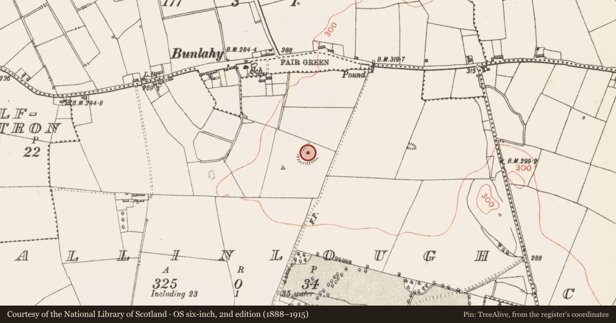 Ordnance Survey six-inch map, 2nd edition (1888–1915) covering the location of Ringfort - rath, Ballinlough, County Longford, with a pin at the register's coordinates