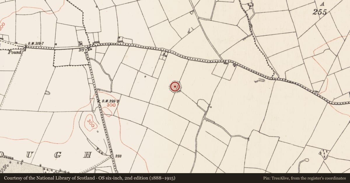 Ordnance Survey six-inch map, 2nd edition (1888–1915) covering the location of Ringfort - rath, Coolcor, County Longford, with a pin at the register's coordinates