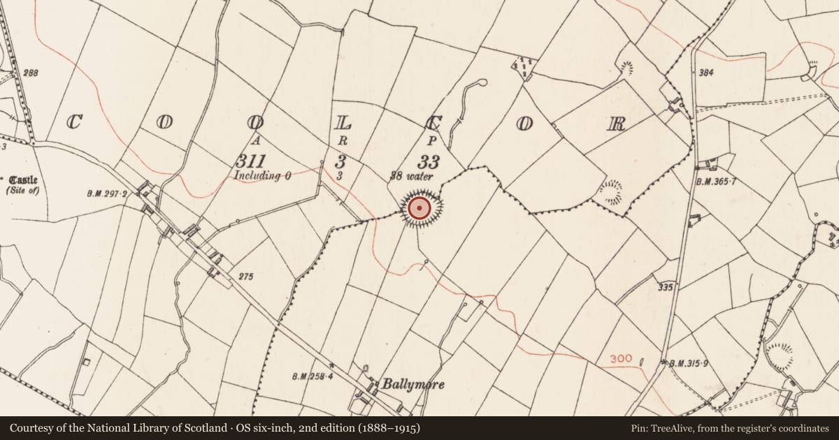 Ordnance Survey six-inch map, 2nd edition (1888–1915) covering the location of Ringfort - rath, Ballymore, Coolcor, County Longford, with a pin at the register's coordinates